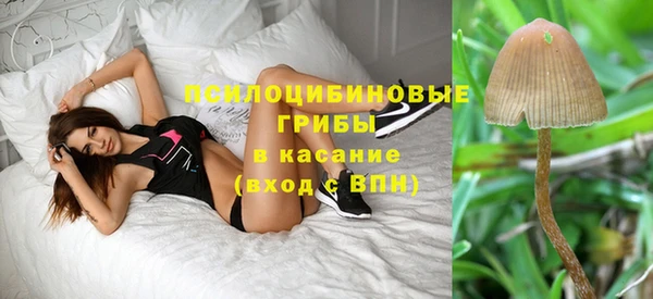 винт Балахна